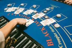 8sleep Apa yang Kami Tawarkan di Baccarat